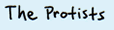 The Protists